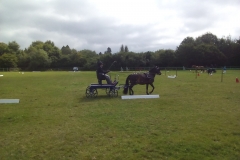 3 Barbara dressage 2017
