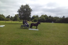 4 Barbara dressage 2017