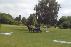 5 Barbara dressage 2017 (2)