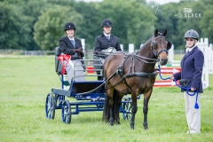 Sandra wins Novice Whip Felbridge 2017