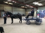 Sands Farm 2018