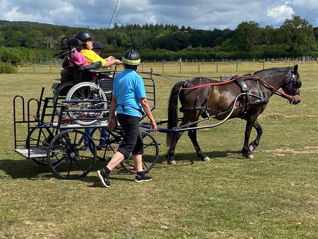 A chestnut welsh cob pulling a carriage which contains a wheelchair user as driver in their chair and is flanked by side walkers