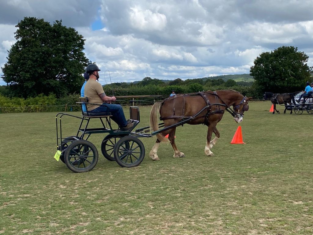 Hugo, a chestnut welsh cob, is pulling aa carriage which is being driven by Worshipful Brother Chris Hudson, Worshipful Master of Royal Sussex Lodge 342